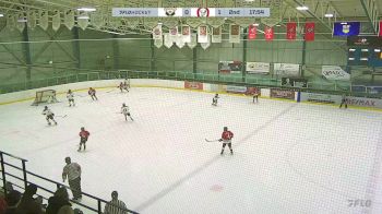 Replay: Home - 2025 CRAA Gold U13 vs CBHA Hawks U13 | Jan 11 @ 2 PM