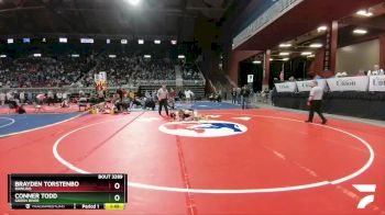 3A-132 lbs Semifinal - Brayden Torstenbo, Rawlins vs Conner Todd, Green River