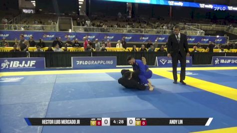 Andy Lin vs Hector Luis Mercado Jr 2026 Pan Jiu Jitsu IBJJF Championship