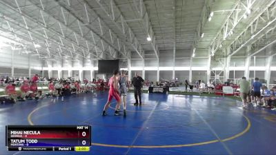 144 lbs Quarterfinals (8 Team) - Mihai Necula, Georgia vs Tatum Todd, Montana