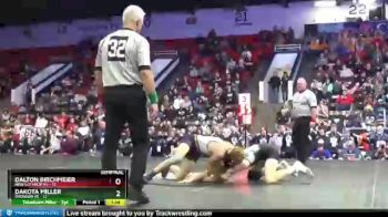 130 lbs Semifinals (8 Team) - Dakota Miller, Bronson HS vs Dalton Birchmeier, New Lothrop HS