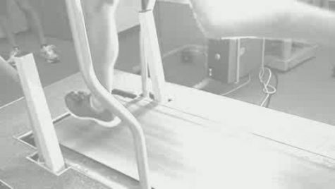 Running Economy Test w/Chapman & Olinger (low res)