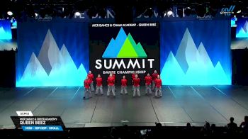 MCR Dance & Cheer Academy - Queen Beez [2025 Mini - Hip Hop - Small Semis] 2025 The Dance Summit