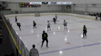 Replay: Home - 2025 Impact vs WBS Knights | Feb 8 @ 12 PM