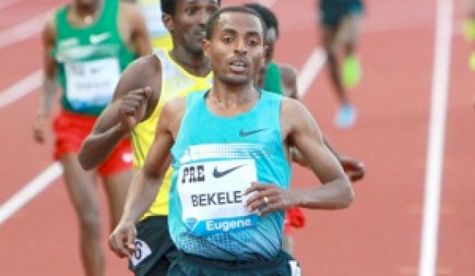 Expert Picks: Shanghai & Conferences