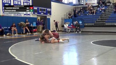 165 lbs Quarterfinal - Raydon Bipes, Wisconsin-Stevens Point vs Ashton Meister, Wisconsin-La Crosse