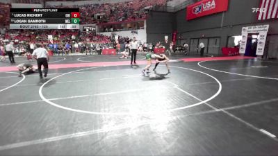 120 lbs Cons. Round 4 - Lucas Richert, Chetek-Weyerhaeuser vs Logan Gamroth, Melrose-Mindoro