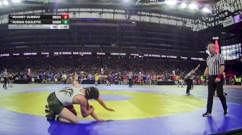 D3-113 lbs Champ. Round 1 - Roman Goulette, Ogemaw Heights vs Rooney Olmedo, Dowagiac