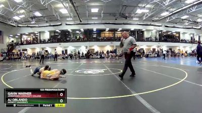 133 Freshman/Soph Quarterfinal - Gavin Warner, Jamestown Community College vs AJ Orlando, Averett University