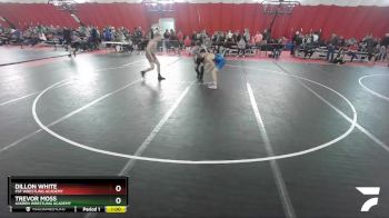 132 lbs Cons. Round 2 - Dillon White, PSF Wrestling Academy vs Trevor Moss, Askren Wrestling Academy