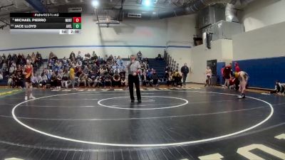 107 lbs Round Of 16 - Michael Pierro, North Catholic vs Jace Lloyd, Avella