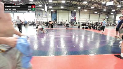 145 lbs Rr Rnd 2 - Dominic Ruggieri, Lone Star Legends vs Hunter Lines, Brady Strong