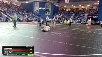 138 lbs Cons. Round 2 - CJ Ferree, Central Dauphin HS vs Noah Cuic, New Kent