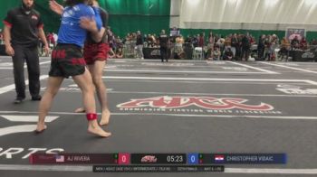 AJ Rivera vs Christopher Vidaic 2026 ADCC New Jersey Open