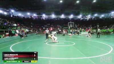 126 lbs Champ. Round 1 - Zach Nekolite, Noblesville H.S. vs Liam Hubbartt, South Dearborn