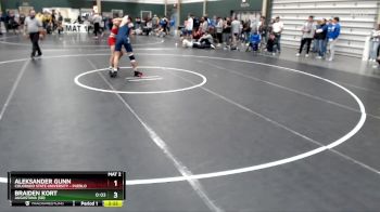 133 lbs Cons. Round 2 - Aleksander Gunn, Colorado State University - Pueblo vs Braiden Kort, Augustana (SD)