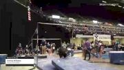 Andrea Williams - Women's Group, Premier Gymnastics - 2021 Women's Xcel Region 4 Championships