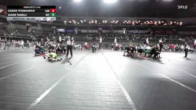 85 lbs Consi Of 8 #1 - Caiden Fitzmaurice, 14awc vs Jaxon Tanelli, Bitetto Trained Wrestling