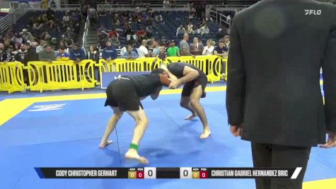 Christian Gabriel Hernandez Bric vs Cody Christopher Gerhart 2025 Pan IBJJF Jiu-Jitsu No-Gi Championship