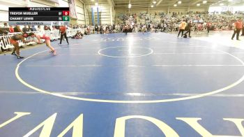 160 lbs Quarterfinal - Trevor Mueller, NY vs Chaney Lewis, PA