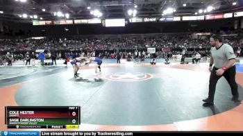 132 lbs Champ. Round 1 - Sage Darlington, Baker/Powder Valley vs Cole Hester, Emmett