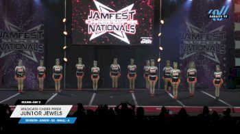 Wildcats Cheer Pride - JUN1OR JEWELS [2025 L1 Junior - D2 - Small - A Day 2] 2025 JAMfest Cheer Super Nationals