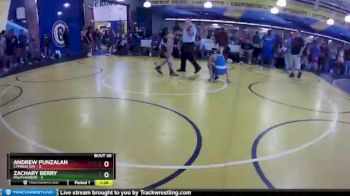 106 lbs Placement (16 Team) - Andrew Punzalan, Cypress Bay vs Zachary Berry, Palm Harbor
