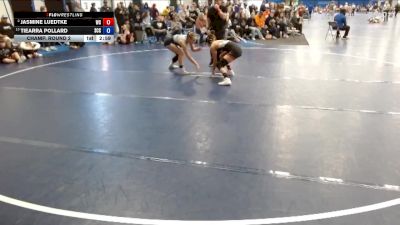 117 lbs Champ. Round 2 - Tiearra Pollard, Southeast CC vs Jasmine Luedtke, Wartburg
