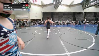 101 lbs Rr Rnd 6 - Henry Hambardzumian, Falcons Wrestling Club vs Ethan Cook, CT Refinery