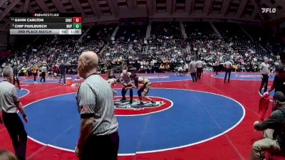 138-1A 3rd Place Match - Gavin Carlton, Chattooga vs Chip Fahlbusch, Mt Vernon Presbyterian