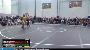 133 lbs Prelim - Luis Hernandez, Ithaca College vs Jake Giordano, The College Of New Jersey