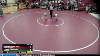 78 lbs Round 4 - Harper Hamacher, Grynd Wrestling vs Dennis Matthews, Minnesota