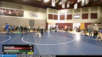 43 lbs Quarterfinal - Chloe Steed, American Preparatory Academy D vs Tennessee Silcox, Payson Lion Wrestling Club