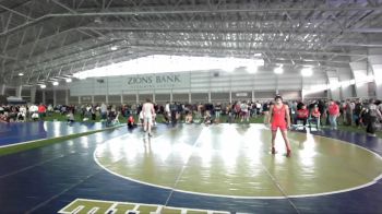 157 lbs Cons. Round 3 - Davin Fedler, Springville vs Riggs Martin, Westlake