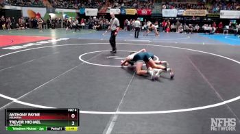 152 lbs Quarterfinal - Anthony Payne, Soldotna vs Trevor Michael, Soldotna