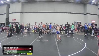 66 lbs Round 4 - Roman Borneman, Swamp Rabbit Wrestling vs Hayden Landers, Eastside Youth Wrestling