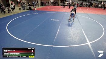 102 lbs Champ. Round 1 - Bly Mettler, LCWM vs Hunter Peterson, STMA (St. Michael/Albertville)