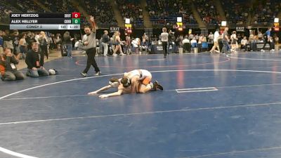 82 lbs Consy 3 - Joey Hertzog, Southern Lehigh vs Alex Hellyer, Corry