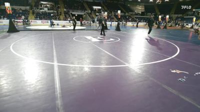 132 lbs Quarterfinal - Cloe Boccia, Milford vs Madeline Ngo, Newton North
