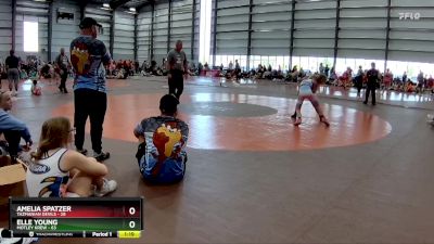 74 lbs Semis & 1st Wrestleback (8 Team) - Amelia Spatzer, Tazmanian Devils vs Elle Young, Motley Krew