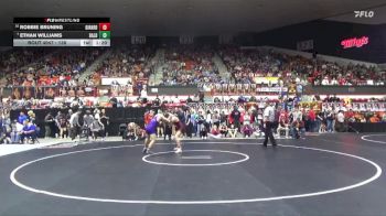 138 lbs Champ. Round 1 - Ethan Williams, Baldwin Hs vs Robbie Bruning, Girard Hs
