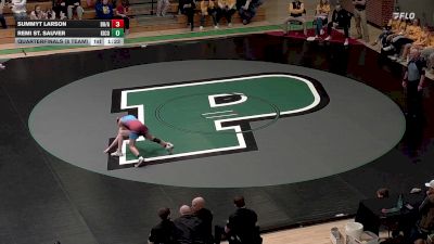 113 lbs Quarterfinals (8 Team) - Remi St. Sauver, Kingsbury County vs Summyt Larson, Bon Homme/Avon