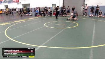 175 lbs Cons. Round 3 - Angelo Tudela, Valdez Youth Wrestling Club Inc. vs Cameron Schwin, Nikiski Freestyle Wrestling Club