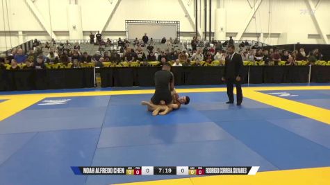 Rodrigo Correia Silvares vs Noah Alfredo Chen 2024 World IBJJF Jiu-Jitsu No-Gi Championship