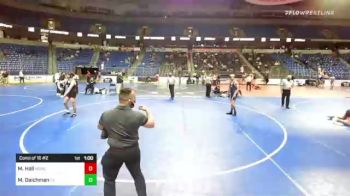 170 lbs Consi Of 16 #2 - Maxwell Hall, New England vs Michael Daichman, Texas