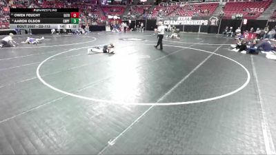 D2-113 lbs Champ. Round 1 - Owen Feucht, East Troy vs Aaron Olson, Chetek-Weyer./Prairie Farm