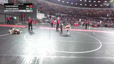 138 lbs Champ. Round 1 - Allison Deneys, Oconto Falls/Abrams Youth Wrestling vs Olivia Disbrow, Waupun Youth Wrestling