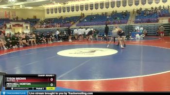 175 lbs Round 1 (16 Team) - Tyson Brown, Villa Rica vs Mitchell Horton, Greenbrier