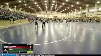 101 lbs Round 1 - Amelia Forbes, Hawk Mat Club vs Cali Tinno, Idaho