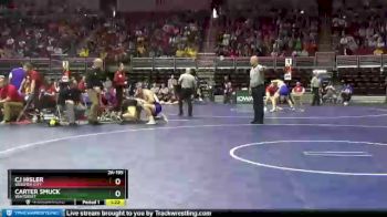 2A-195 lbs 3rd Place Match - CJ Hisler, Webster City vs Carter Smuck, Winterset